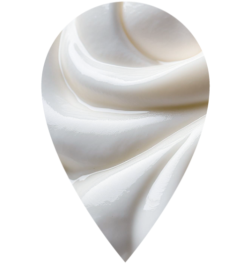 gamme fromage blanc